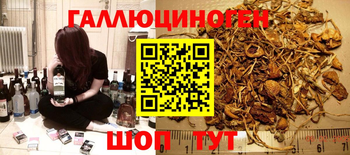 Псилоцибиновые грибы ЛСД  Вход с VPN  Россия 