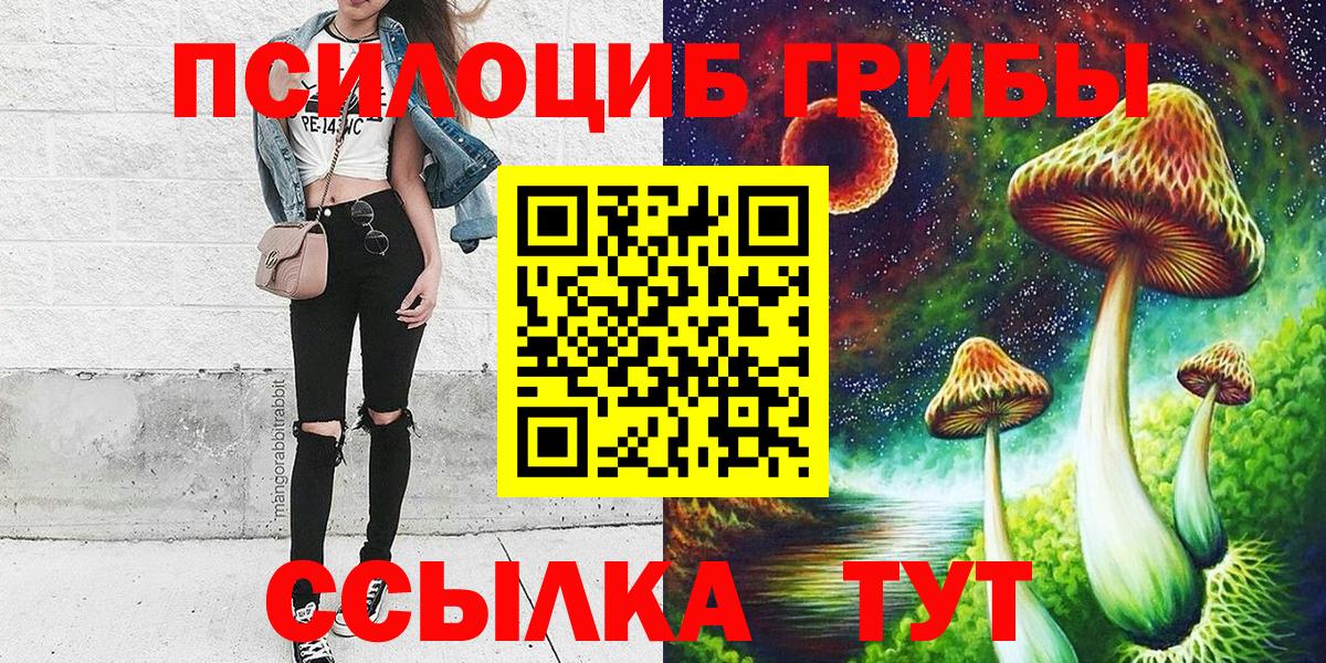 Псилоцибиновые грибы мицелий Россия